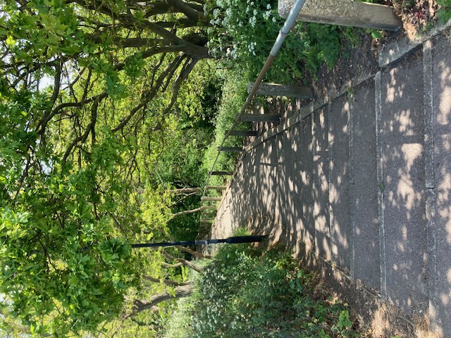 The sun-dappled path back, SE London